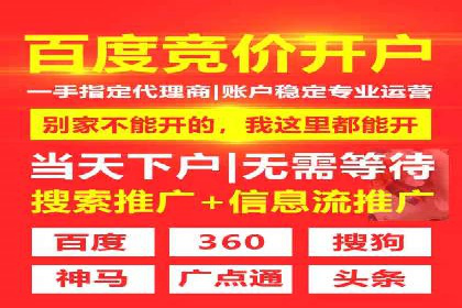 百度推广代运营案例：案例分享：打造行业领军品牌